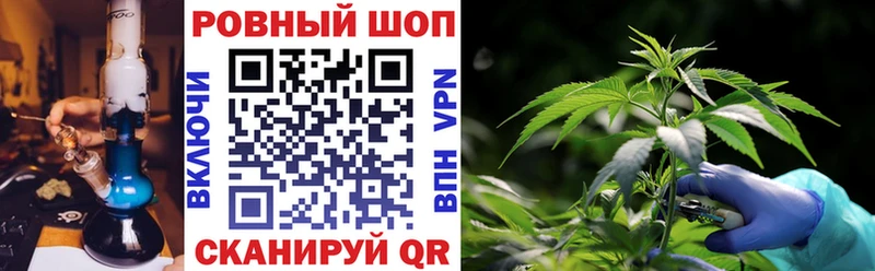 Купить наркоту Новозыбков COCAIN  Меф  ГАШИШ  ОМГ ОМГ ТОР  Канабис  Метадон 