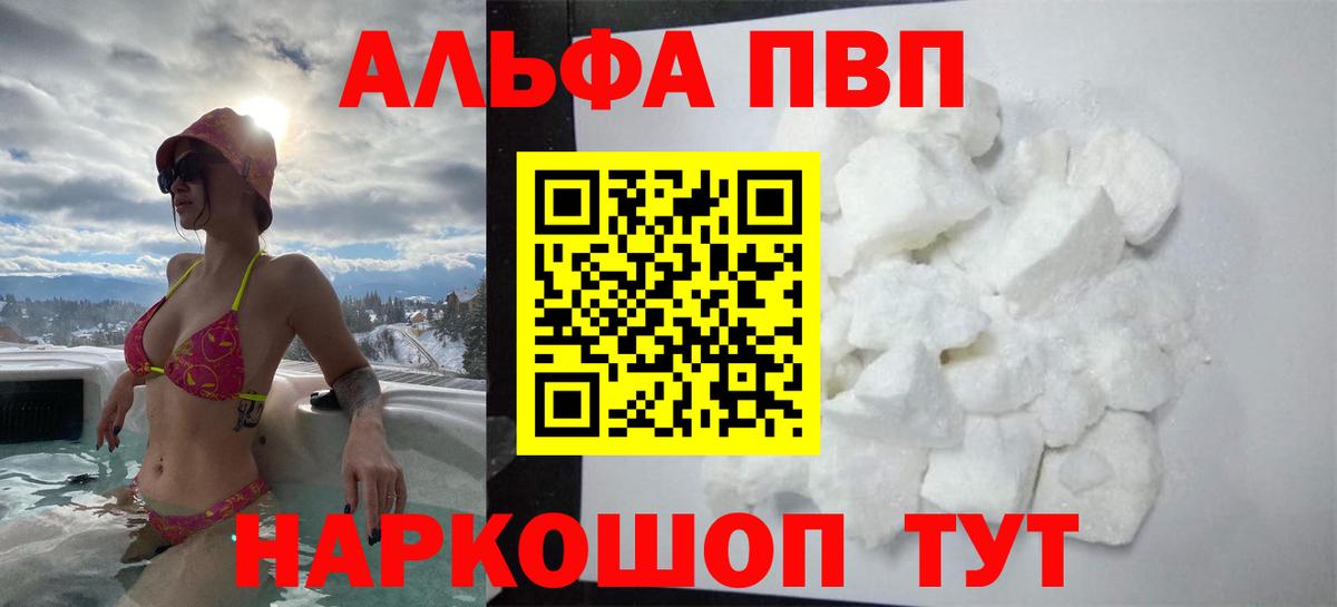 A-PVP СК Новозыбков