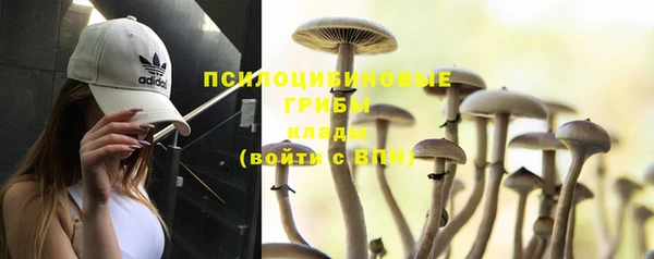 мефедрон мука Новозыбков