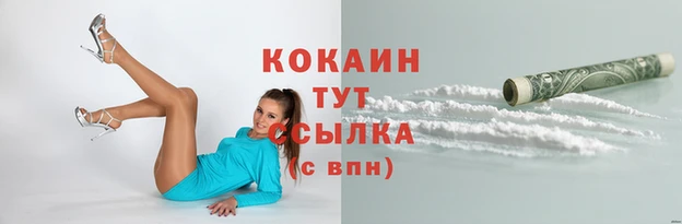 a pvp Няндома