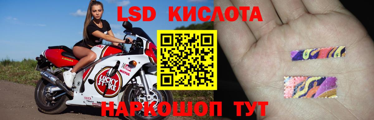 ЛСД экстази ecstasy  Вход с VPN  Новозыбков 
