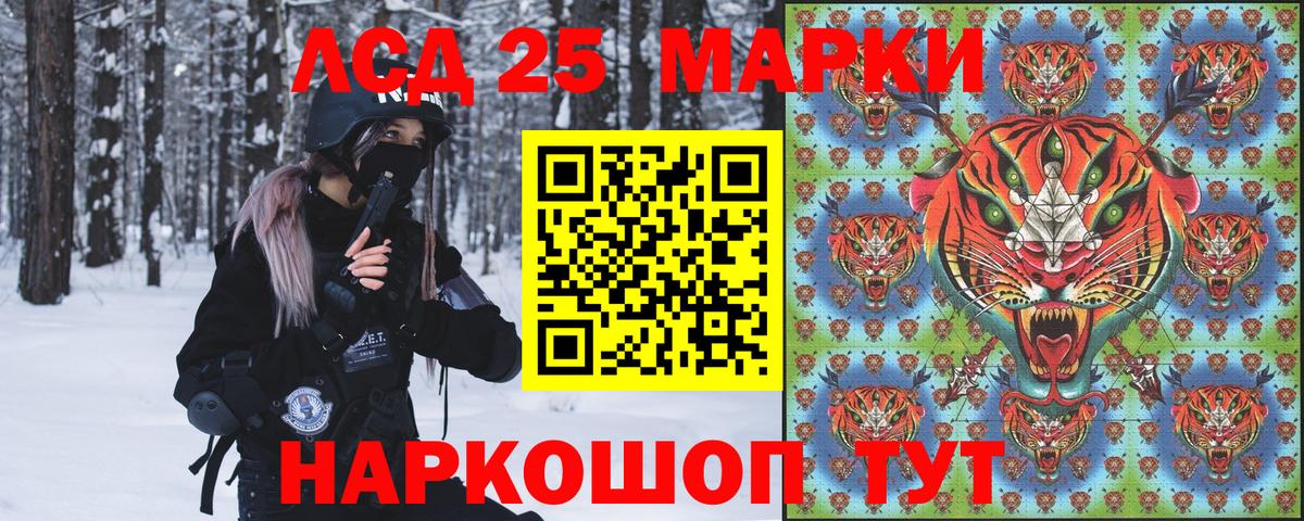 Наркотические марки 1500мкг  Вход с VPN  Новозыбков  Наркотические марки 1500мкг 