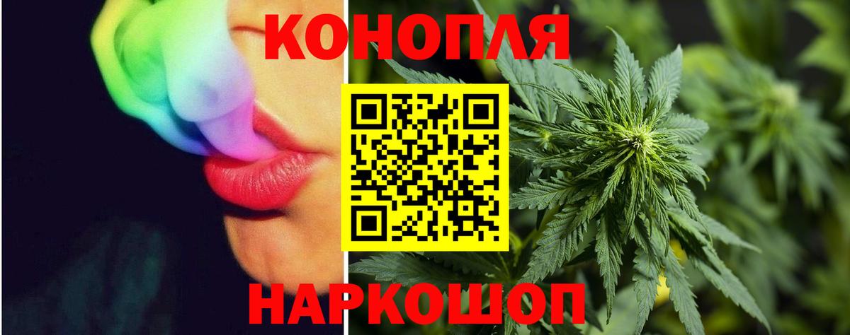 Бошки Шишки Ganja  Марихуана индика  Канабис White Widow  Новозыбков  МАРИХУАНА планчик 